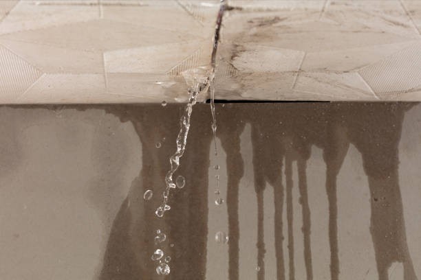 Professional Water Damage Repair technician working in Hallandale, FL